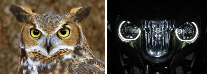 This might give you an ideal of how the R1200RT got named "The Owl".